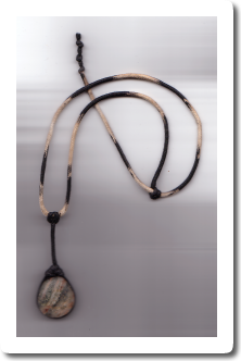 Rotation of SAVE0002